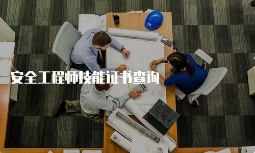安全工程师技能证书查询与技术咨询指南