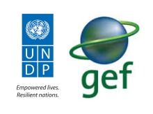 UNDP-GEF青海项目技术咨询服务公开招标公告